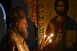 alik 
Bp Epiphanius 
2020-02-13 21:47:58