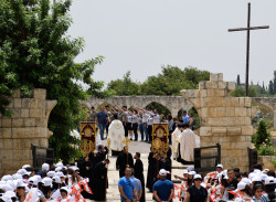 Sheep1389 
Powitanie serbskiego patriarchy Ireneusza w monasterze Balamand, czerwiec 
2020-02-14 23:07:18