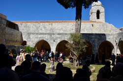 Sheep1389 
Procession in Balamand - Sunday of Orthodoxy 2020 
2020-03-10 21:02:53