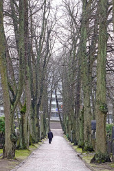 jarek11 
In Orthodox Cementary in Helsinki 
2020-03-15 11:48:06