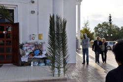 alik 
Palm Sunday 
2020-04-11 17:34:47