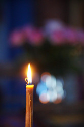 Photographyalexx 
Czytanie 12 ewangelii  
2020-04-16 21:41:43