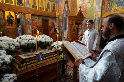 jarek 
The Great Saturday in Zwierki Convent 
2020-04-20 14:16:00