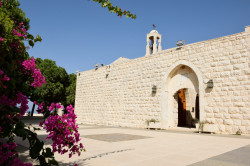 Sheep1389 
Kwiaty i monaster Balamand 2018 
2020-05-10 17:02:49