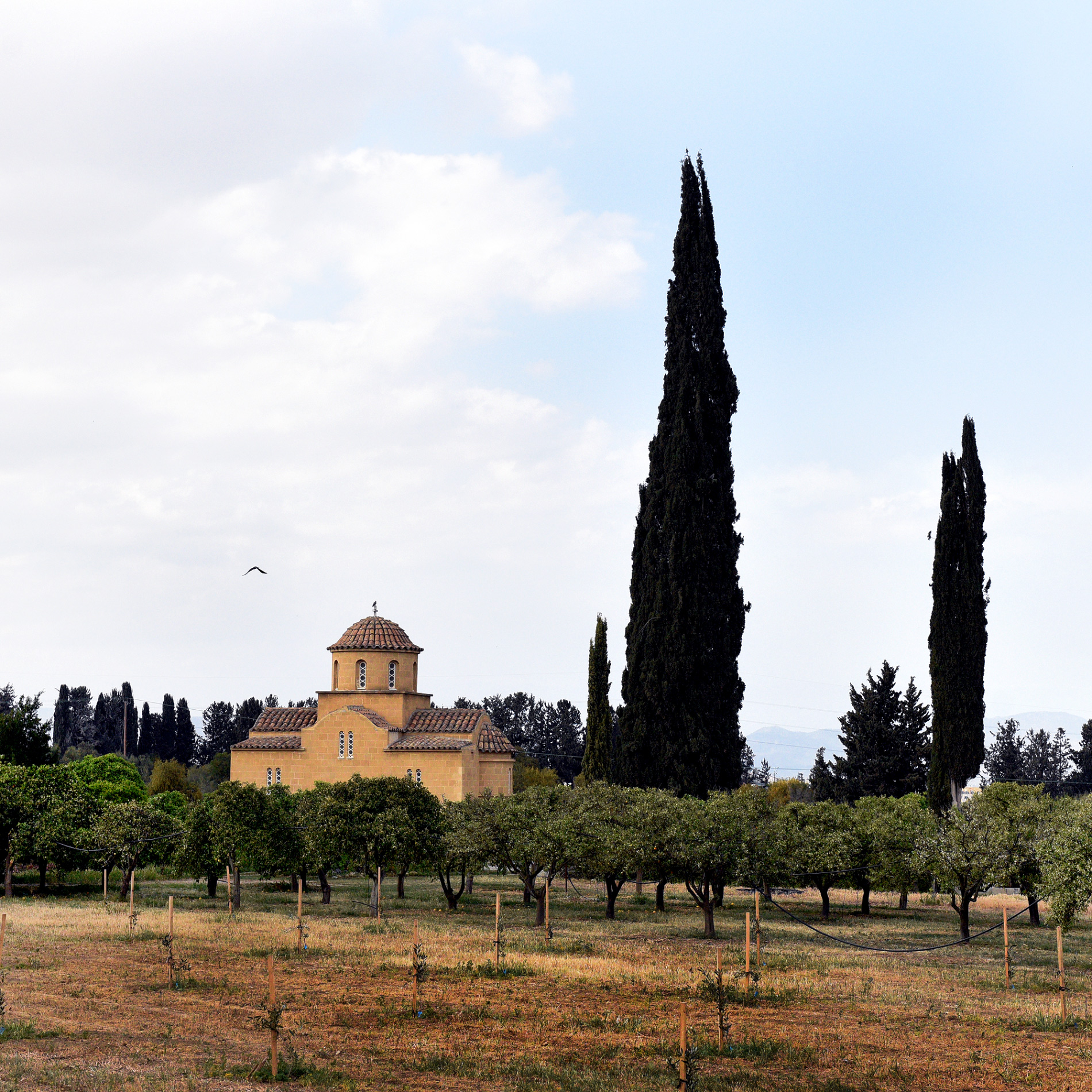 Somewhere on the way to Nicosia