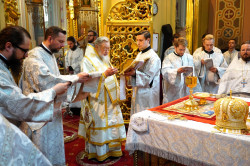 jarek 
22nd anniversary of Metropolitan Sawa of Warsaw and All Poland enthronment 
2020-06-01 20:09:33