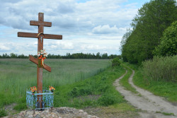 tparol 
Wiosna 
2020-06-11 23:08:09
