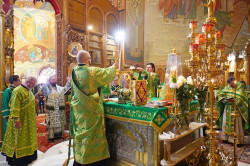 jarek 
The Holy Spirit feast in the Holy Spirit Orthodox church in Białystok 
2020-06-16 08:21:54