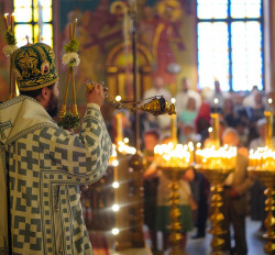 jarek1 
Bishop Andrzej of Supraśl 
2020-06-16 08:24:05