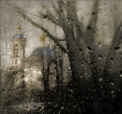 vlasler 
Карантин. 
2020-06-20 18:02:19