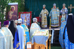 jarek 
Podlasie Martyrs canonisation in Zaleszany - 25.07.2020  
2020-07-31 16:30:03