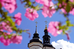 jarek11 
Divine Liturgy of Supraśl Icon of the Mother of God feast in Supraśl Monastery 
2020-08-17 14:33:35
