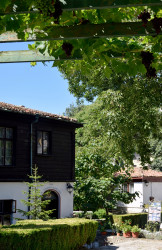 Sheep1389 
Orthodox church of st. archangel Michael in Varna 2019 
2020-09-08 15:06:35
