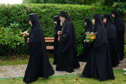 jarek11 
The Dormition of the Mother of God feast in Wojnowo Convent 
2020-09-21 14:09:57