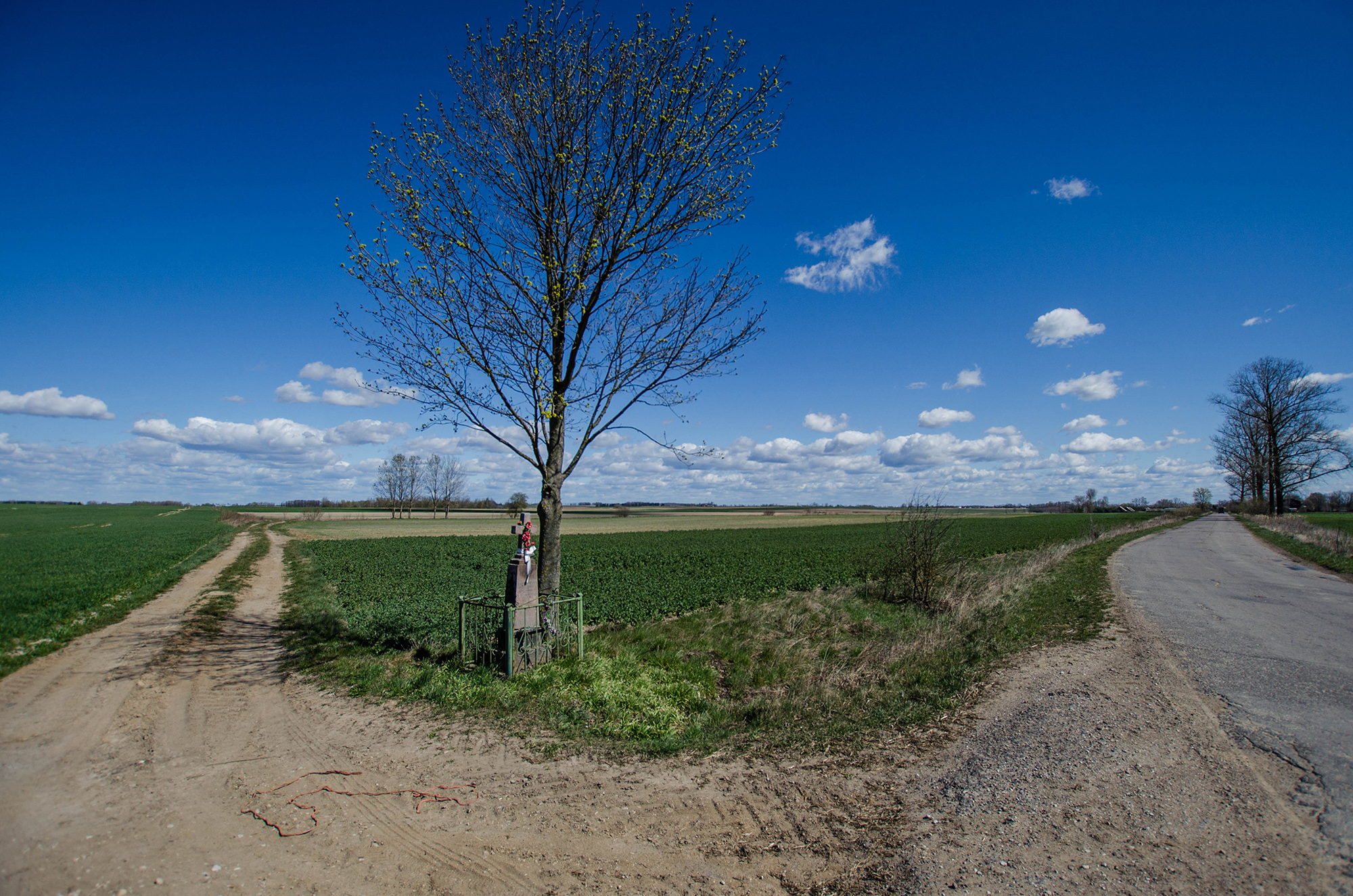 Krywiatycze.