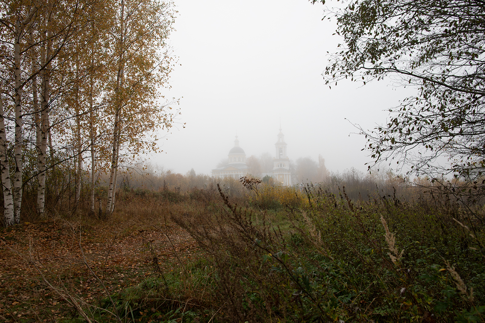 храм Свт. Николая. Покров