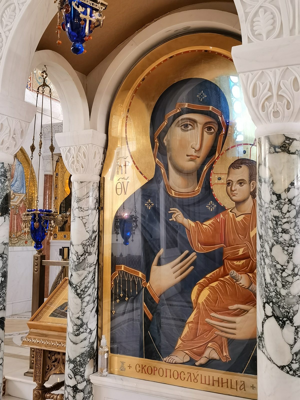Скоропослушница