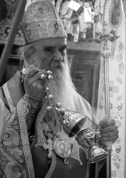 jarek 
Metropolitan Amfilohije of Montenegro 
21 
2020-11-02 09:44:20