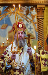 jarek 
Archbishop Grzegorz 
2020-11-11 16:07:09