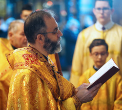 jarek1 
Archbishop Jakub 
2020-11-16 18:42:41