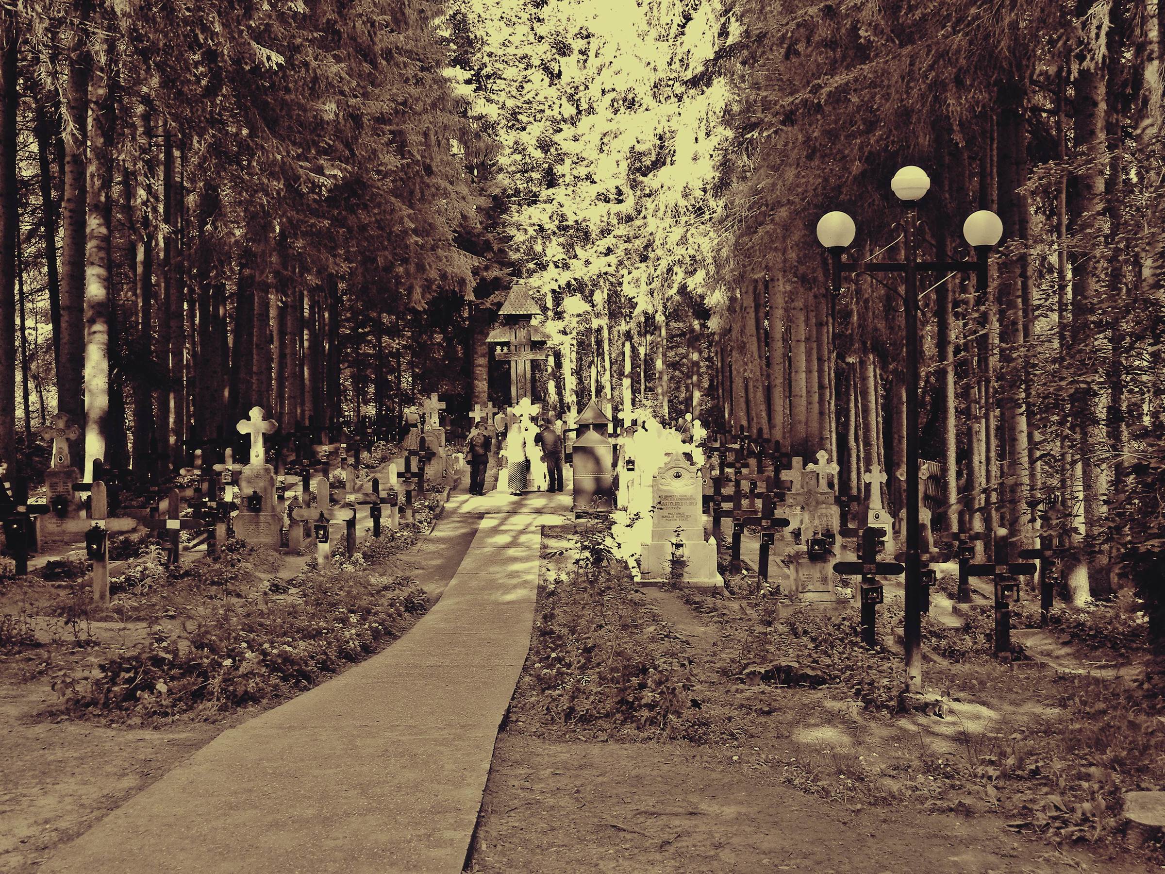 Cimitirul de la Mănăstirea Sihăstria