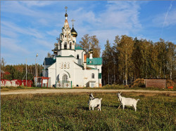 tolmargarita 
Деревенский храм 
27 
2020-12-02 21:57:06