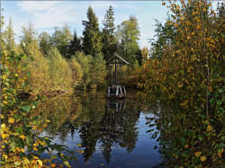 tolmargarita 
Урочище Троица-Чижи. Святой Крест 
21 
2020-12-02 22:08:18