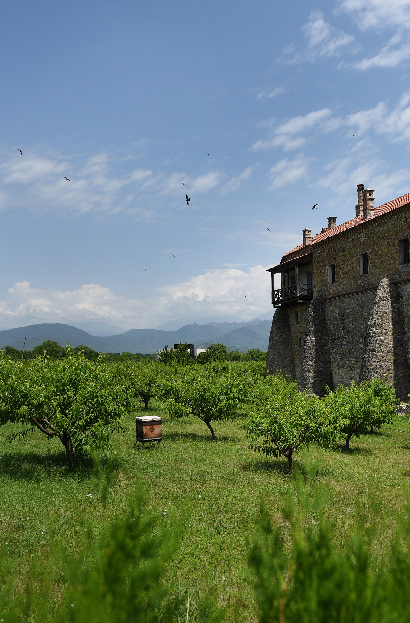 Monaster Alaverdi