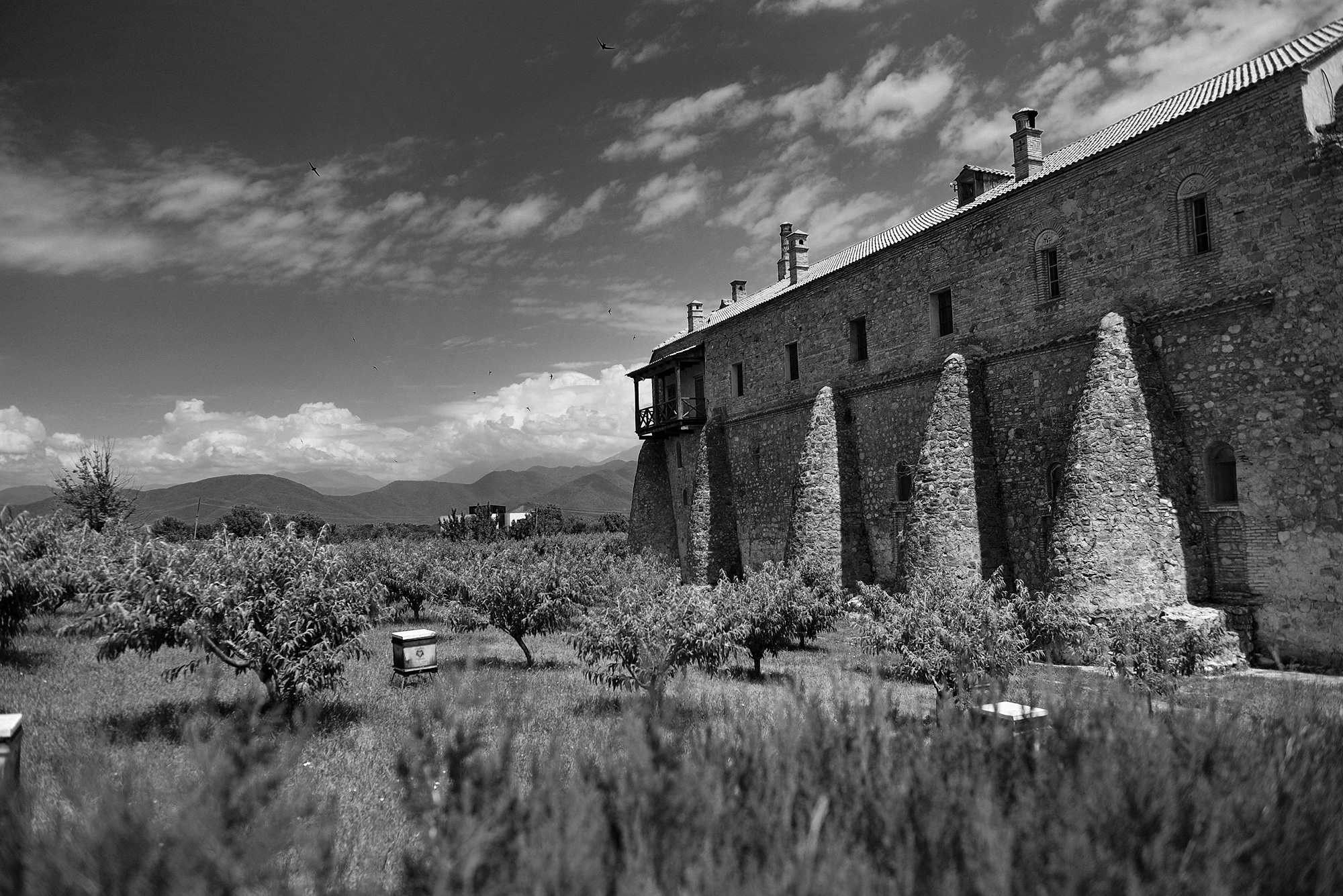 Monaster Alaverdi