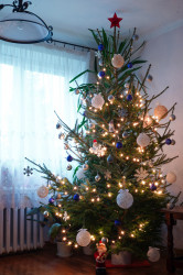 jarek 
Our Christmas tree 
2021-01-12 20:53:02
