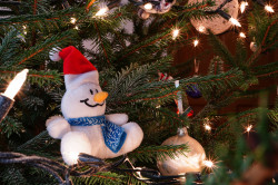 jarek 
On our Christmas tree 
2021-01-12 20:53:32