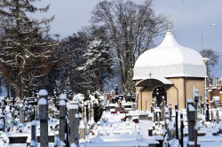 jarek11 
The small chapel of All Saints Orthodox parish cementary in Białystok 
2021-01-17 15:49:53