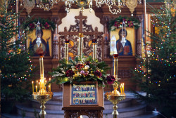 jarek11 
St. John the Theologian Orthodox church of Suprasl Monastery 
2021-01-27 10:05:29