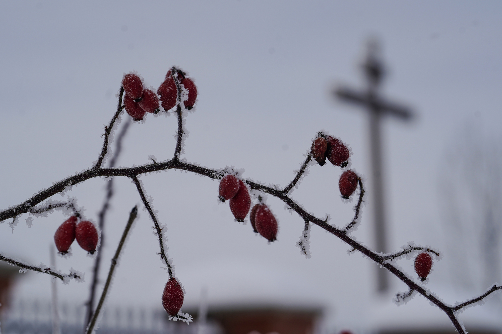 The Orthodox church in Białystok-Fasty - winter detail