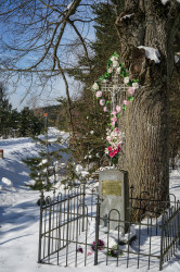 jarek11 
Cross close to Kołodno village 
2021-02-19 10:45:45