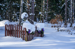 jarek11 
Cross close to Zasady village 
2021-02-19 10:46:19