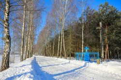 jarek11 
The path to Orthodox cementary in Mallinniki 
2021-02-21 13:18:14
