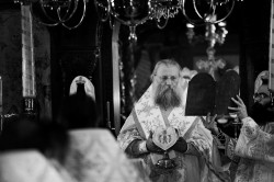 alik 
Bp Epiphanius 
21 
2021-02-24 23:31:44