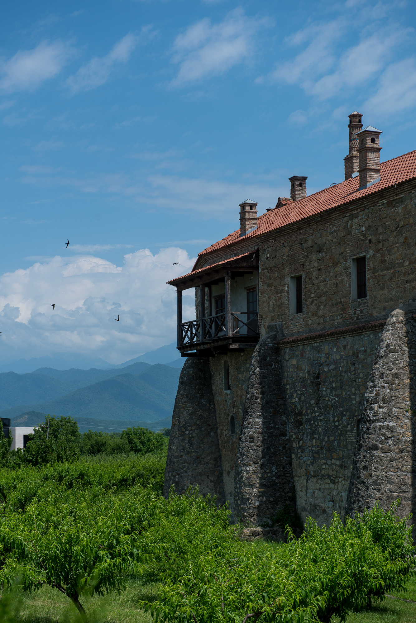 Monaster Alaverdi