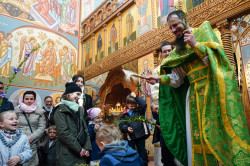 jarek11 
The Palm Sunday in Zwierki Convent 
2021-04-25 15:15:43
