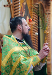 jarek11 
The Palm Sunday in Zwierki Convent 
2021-04-25 15:16:36