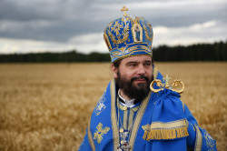 palavos 
Bp Andrzej 
2021-04-26 22:41:19