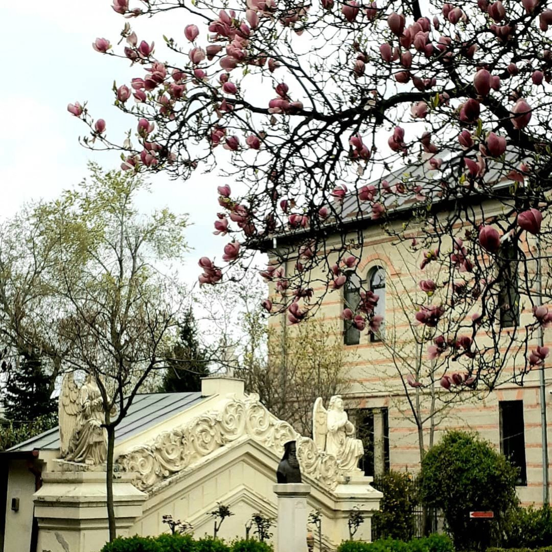 Radu Voda Monastery