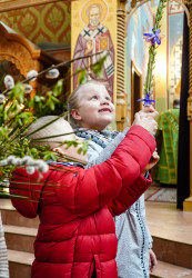 jarek11 
Palm Sunday in Zwierki Convent 
2021-05-17 20:16:04