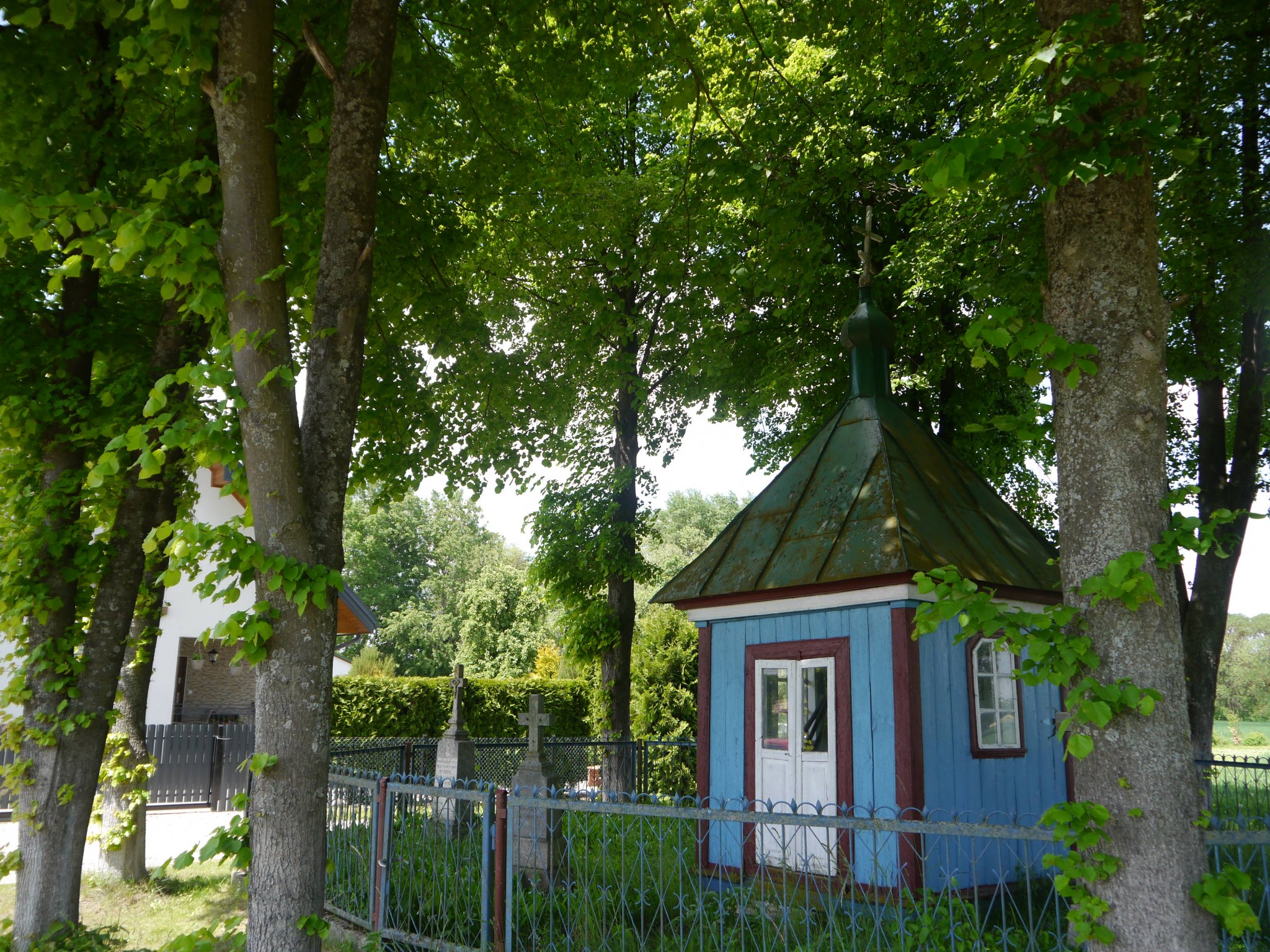 Stryki witają