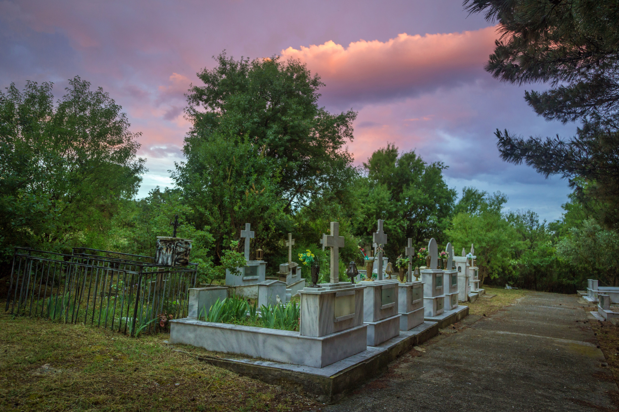 My family’s graves 