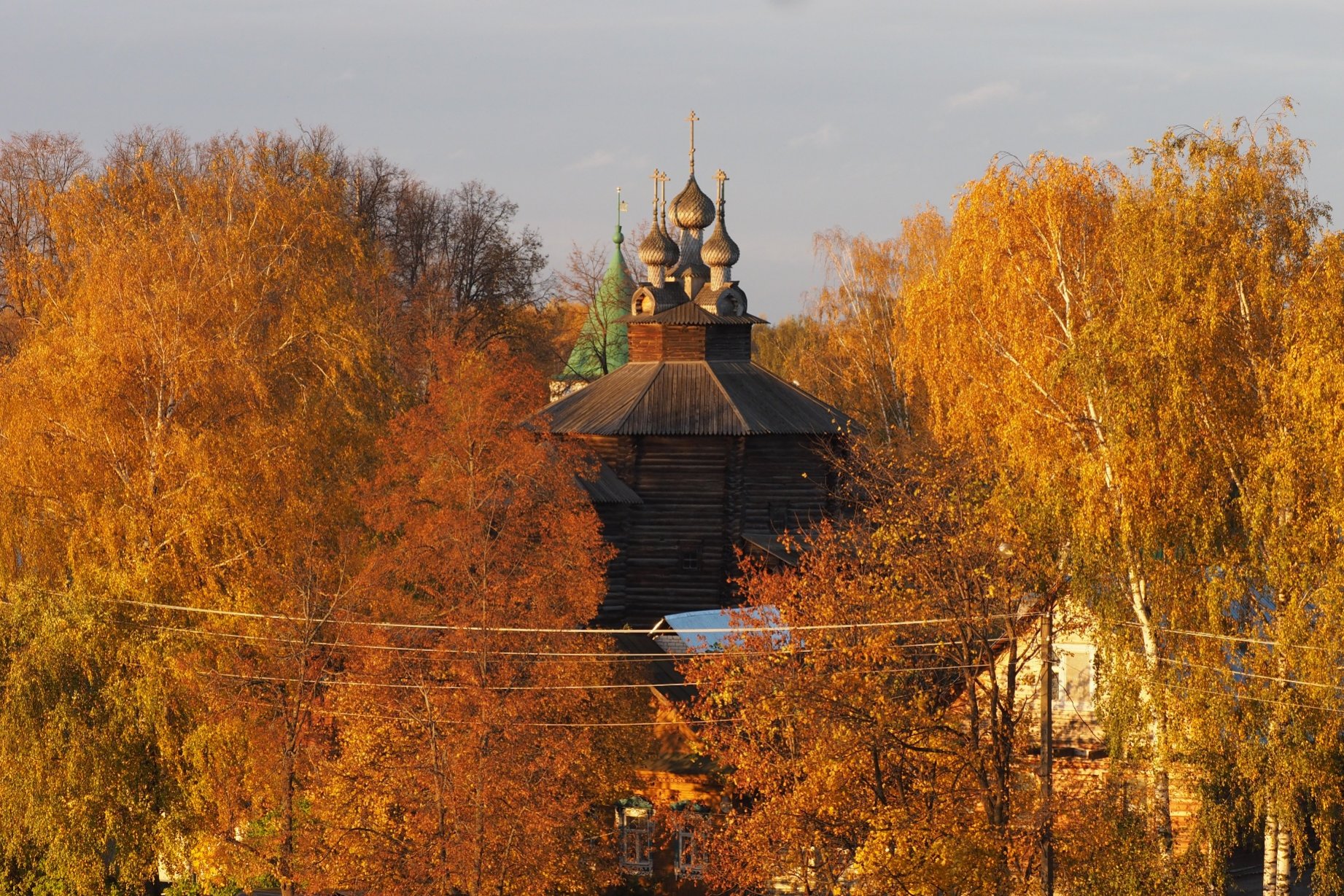 Рыжая осень