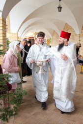 jarek11 
Paschal period processions in Zwierki Convent 
2021-06-09 21:13:08