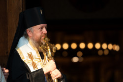 palavos 
Abp Grzegorz 
2021-06-09 23:00:52