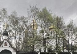 Maximhar 
Вера 
2021-06-12 00:33:12